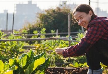 Agriculteur urbain